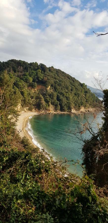 Villa La Maison Golfo Dei Poeti Lerici Exterior foto